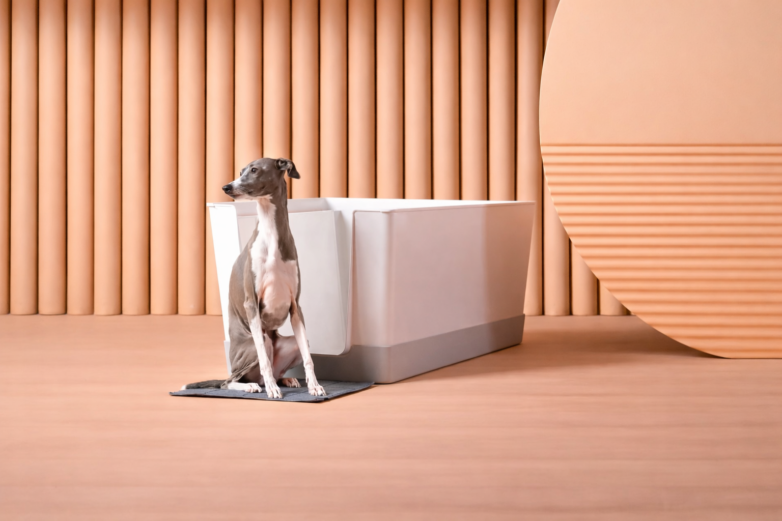 DoggyBathroom x Keith Haring — Red Base